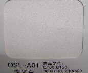 ŷ˹컨 Ĥ OSL-A01  