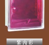 兰艺玻璃砖 空心紫内彩 190×190×80mm 