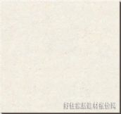 博华地砖 抛光砖影随风舞 600mm×600mm 
